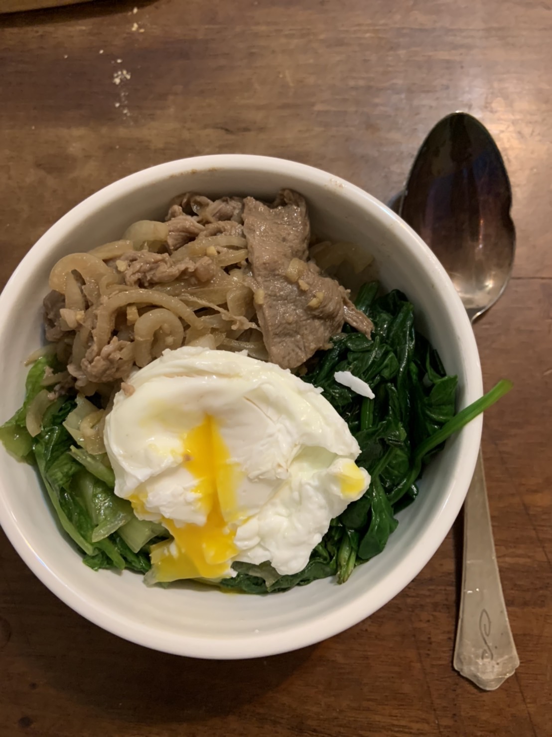 one-bowl beef donburi dish photo
